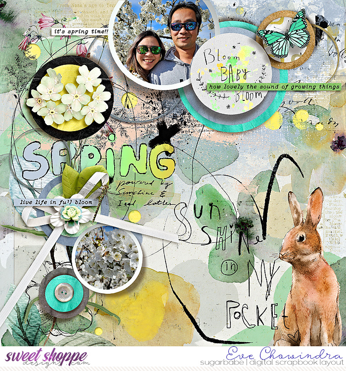 SSD-eve-lbwhellospring-15Mar25