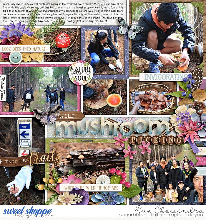 SSD-kcbnature-12June20