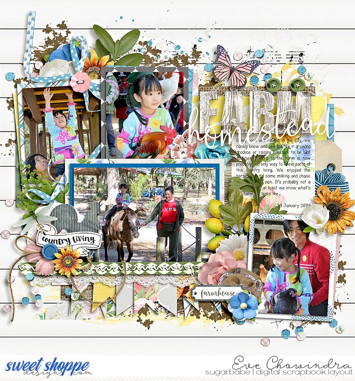 SSD-mcSummerhomestead-29May20