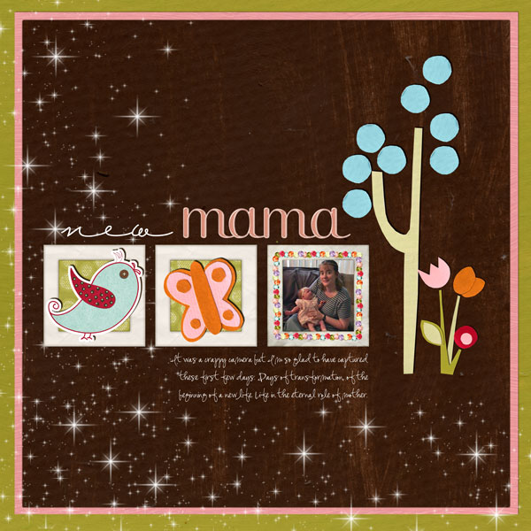 SSD-newmama-sm