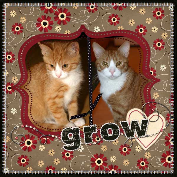SSD-oneword-grow