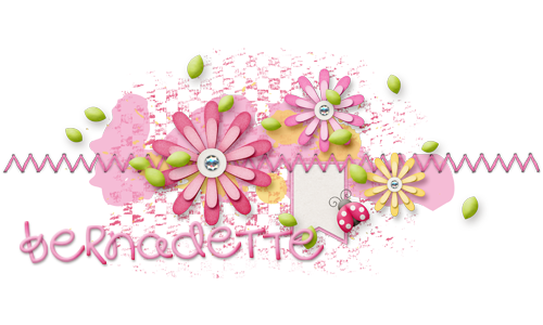 SSD-siggie1
