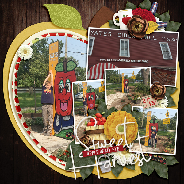 SSD_Bingo_Oct-glee-readymade-applepicking-400k