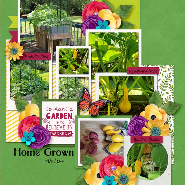 SSD_Garden-Home-Grown