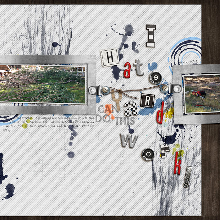 SSD_messyscraplift_yardwork
