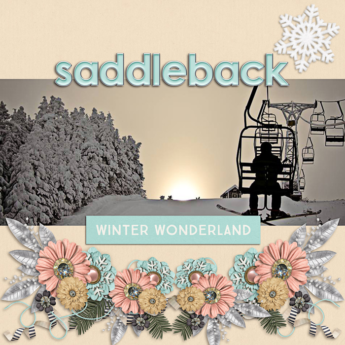 Saddleback