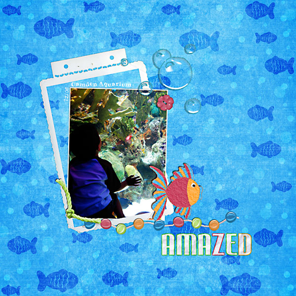 Sam-Adventure-Aquarium-072108-web