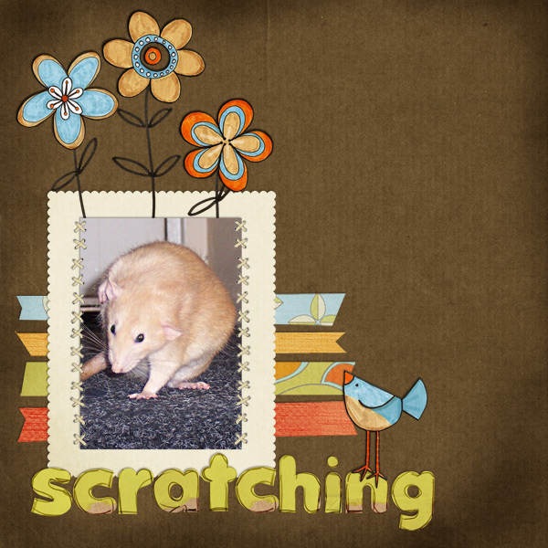 Scratching