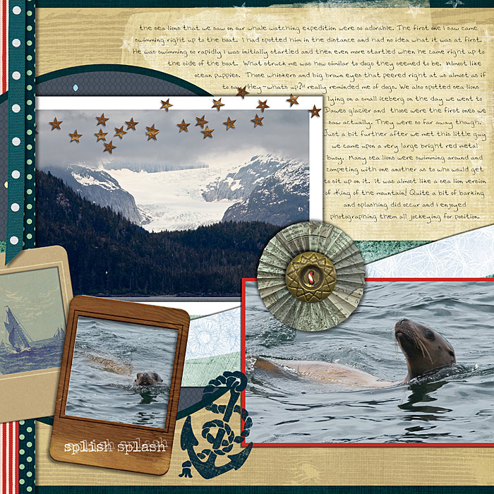 Sea-Lions-a