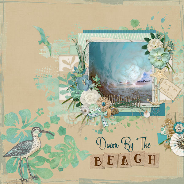 Seaglass_PRV_AShaw_By_Lana_2015