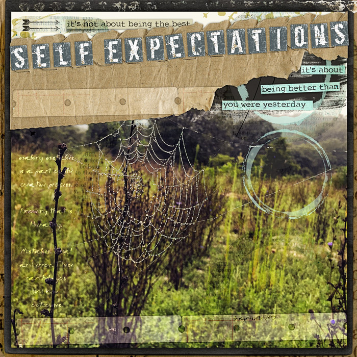 SelfExpectation