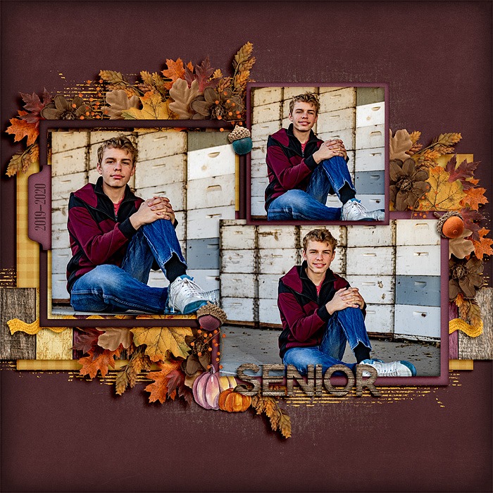 Senior2