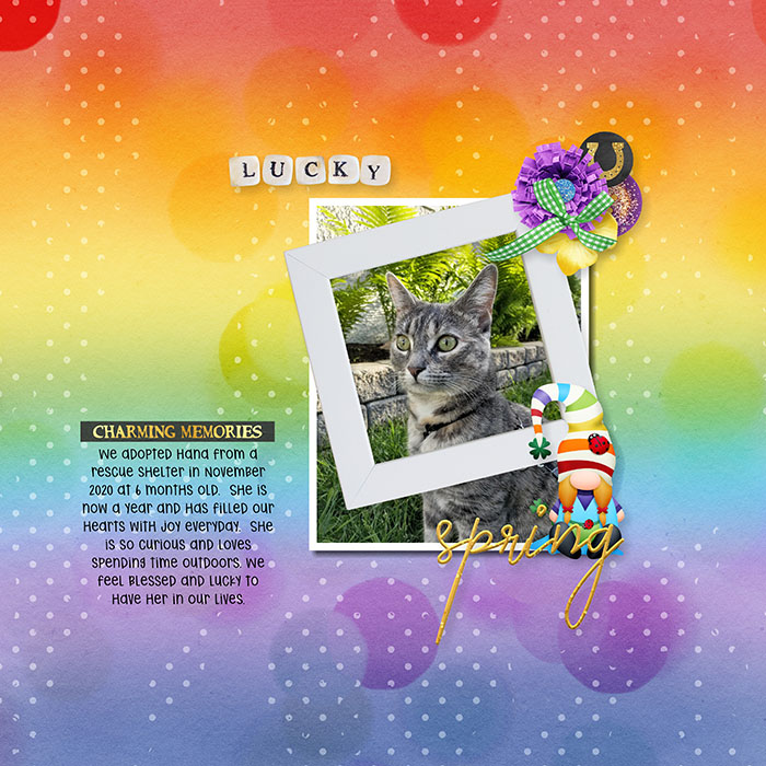Shadowbox_-_15-001_copy