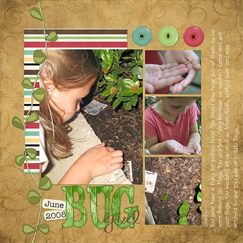 Shelbys-Bugs