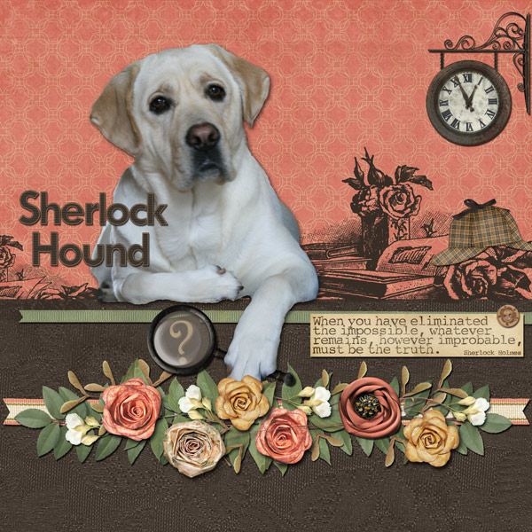 Sherlock-Hound