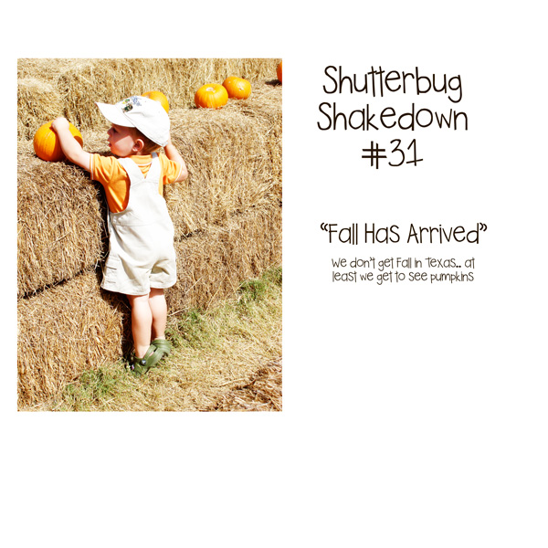 Shutterbug-Shakedown-_311