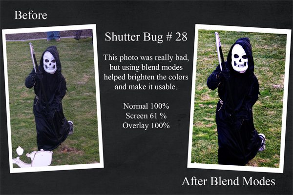 Shutterbug_28_LowRes