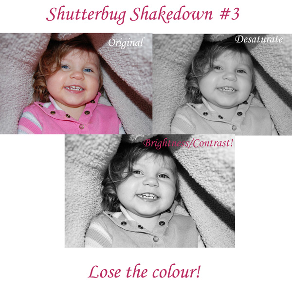 Shutterbug_3