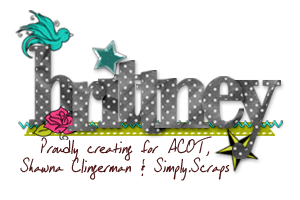 Siggy-SSD