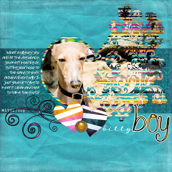 Silly-Boy-web