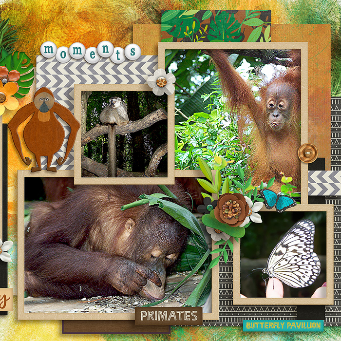 Singapore-Zoo-right-700