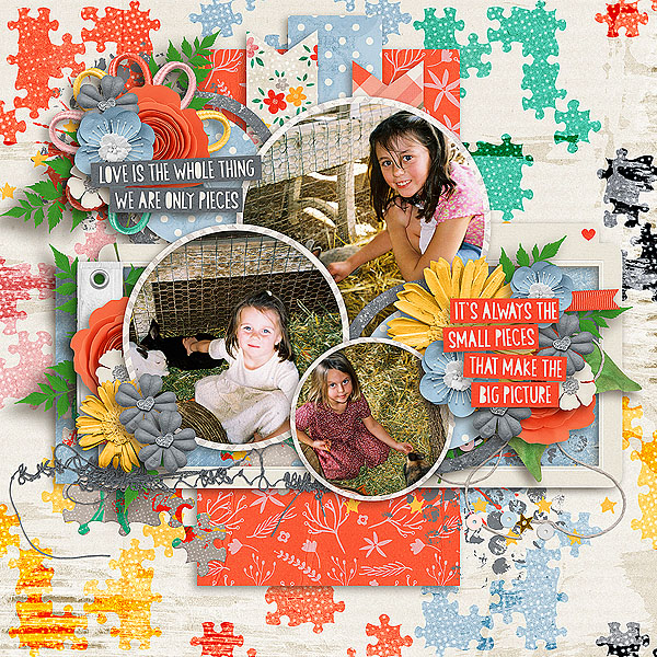 Small_pieces_cap_rfw