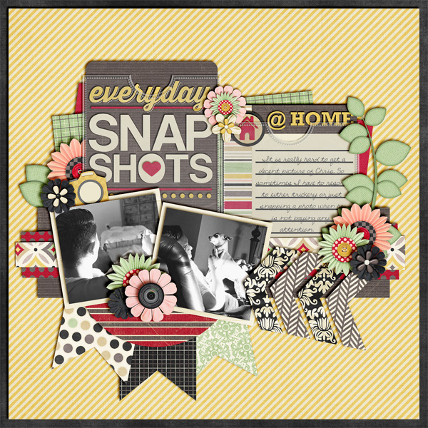 SnapShotsLow