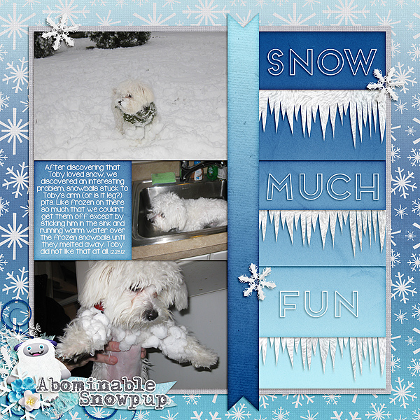 SnowPup_SSD