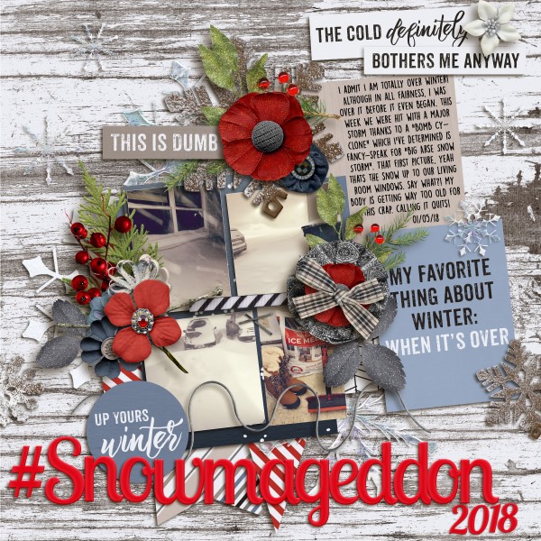 Snowmageddon_600_x_600_