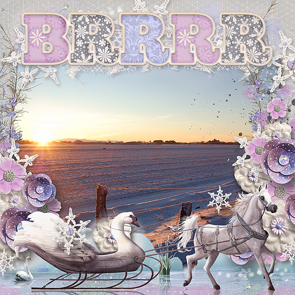 Snowy-FieldWEB