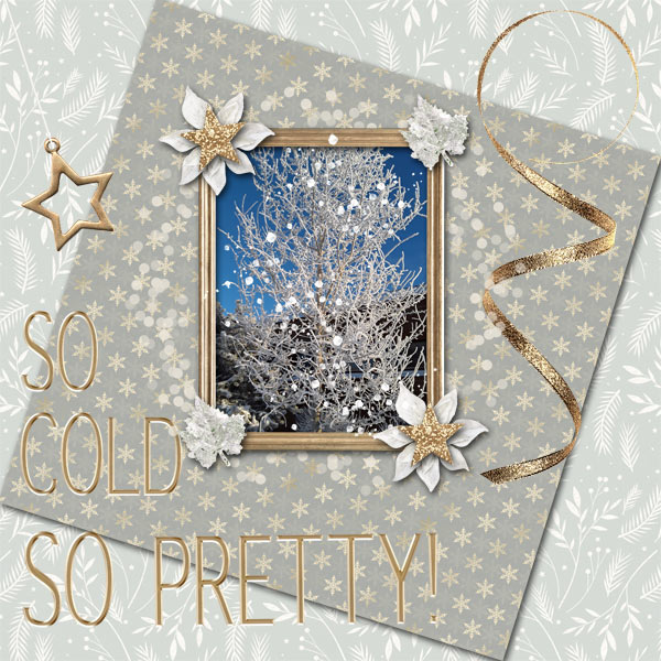 So-Cold1