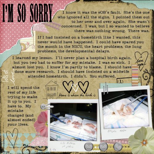 SorryHomebirth