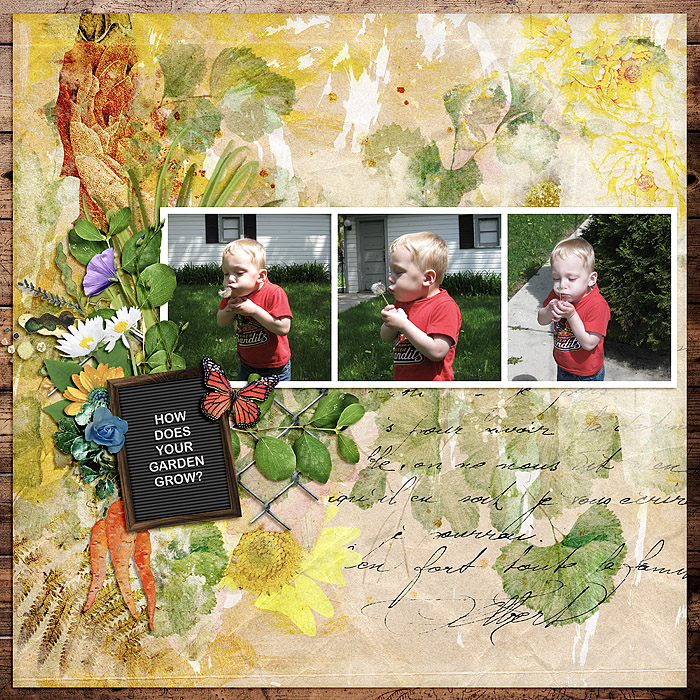 SpreadingWeeds_SSD