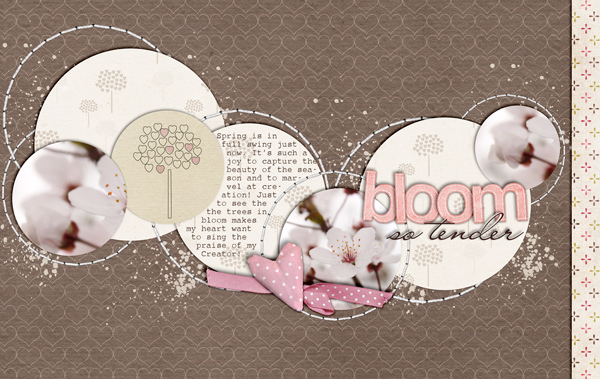 Spring-Bloom