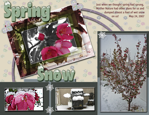 Spring-Snow_edited-1