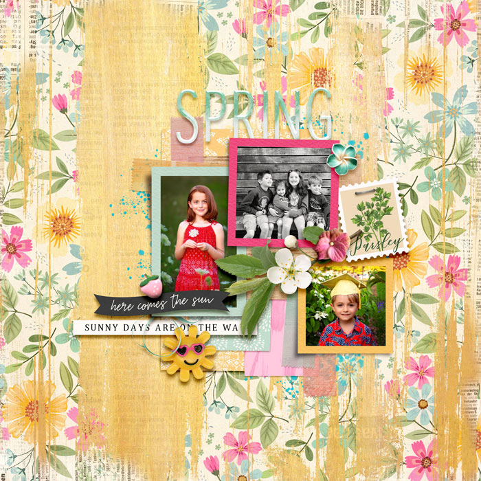 Spring1web2