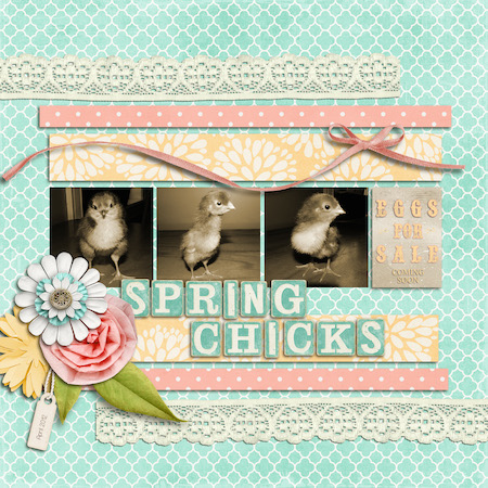 Spring_Chicks_copy