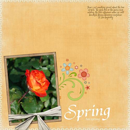 Spring_Rose_2008