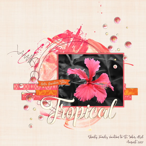 StJohn_Hibiscus_web