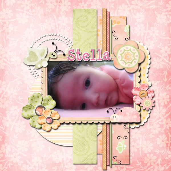 Stella3web