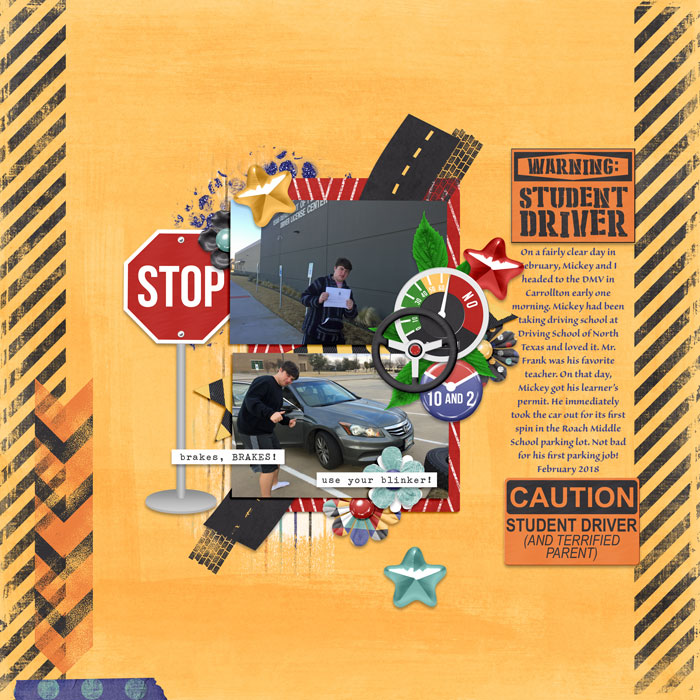 Student-Driver-February-2018