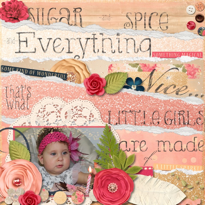 Sugar_and_Spice_copy1