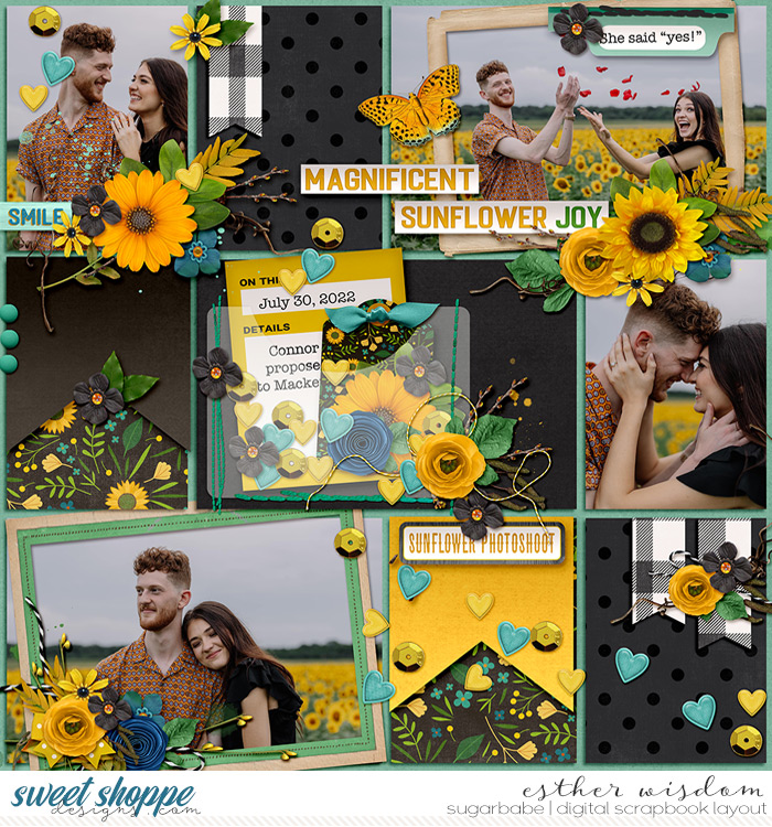 Sunflower-babe