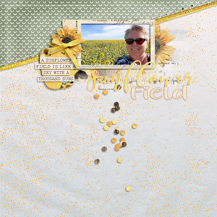 SunflowerFieldweb
