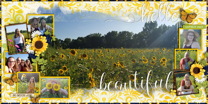 Sunflower_Fields_Aug_20_2020_smaller