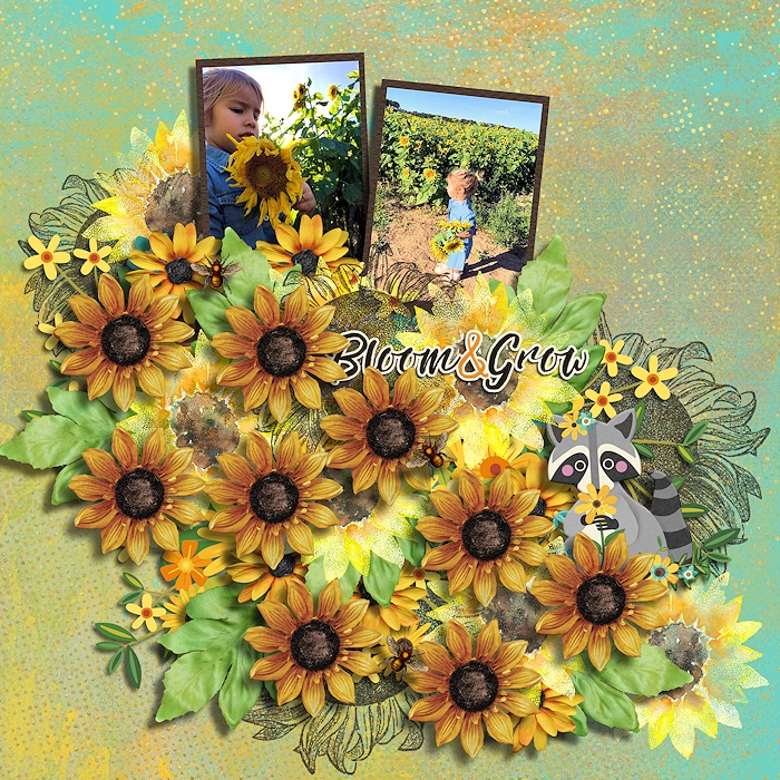 Sunflower_season_CMG_-_ella