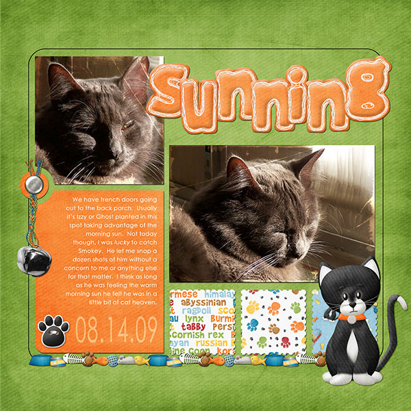 Sunning-Web2