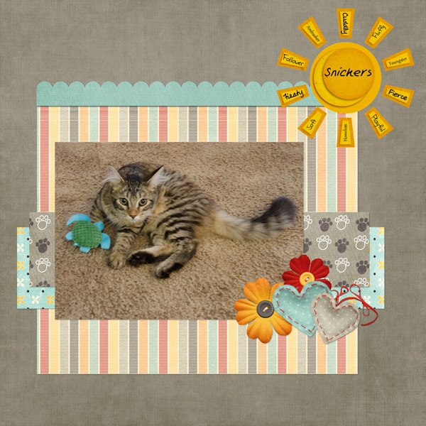 Sunshine-Kitty