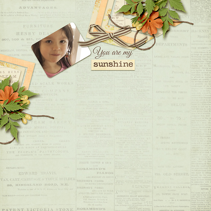 Sunshine-SSD2