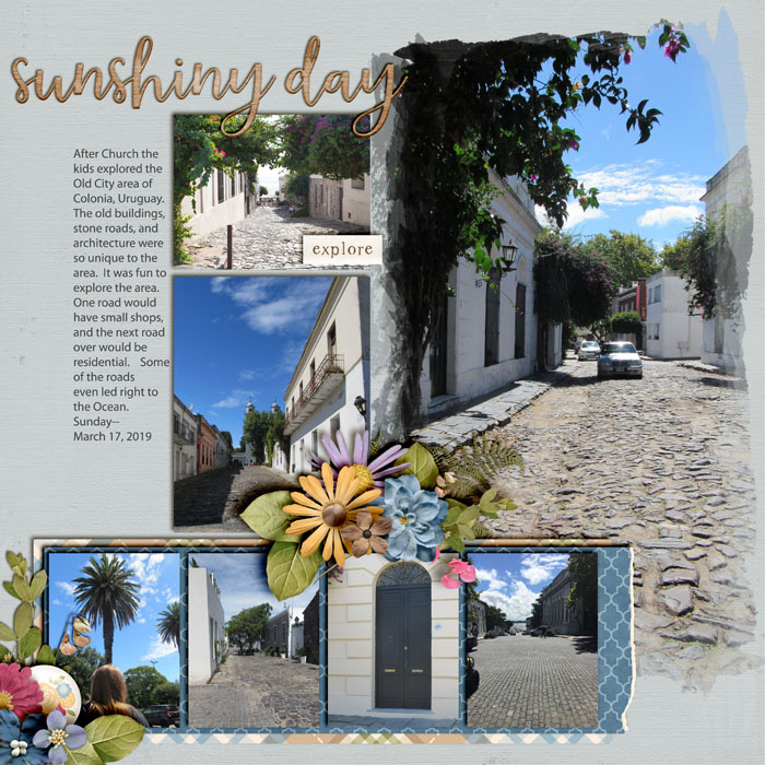 Sunshiny_Day_Uruguay_Sun_march_17_2019_smalelr